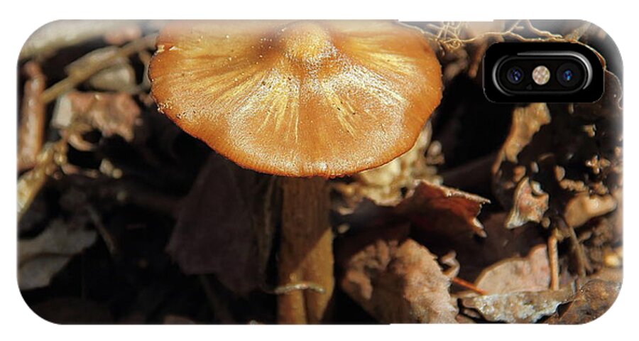 Mushroom iPhone X Case featuring the photograph Mushroom Rising by Allen Nice-Webb
