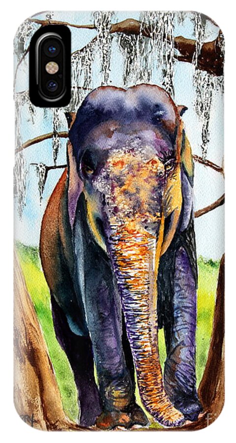 Elephant iPhone X Case featuring the painting Mysore by Maria Barry