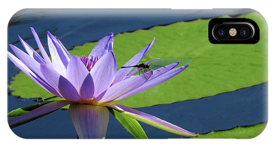 Water Lily iPhone X Case featuring the photograph Nature Shares it's Beauty by Rosalie Scanlon