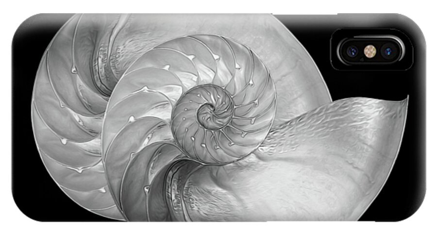 Nautilus iPhone X Case featuring the photograph Nautilus Pair in Mono - Horizontal by Gill Billington