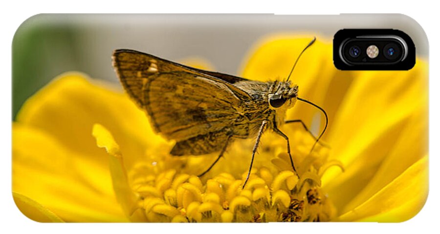Flower Moth Yellow Garden Nectar Macro Bruce Pritchett Photography iPhone X Case featuring the photograph Nectar delight by Bruce Pritchett