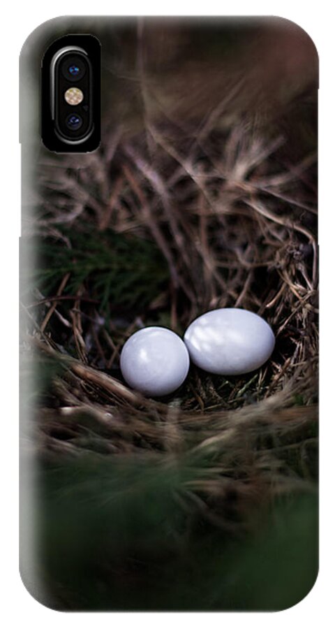 Egg iPhone X Case featuring the photograph New Birth by Parker Cunningham