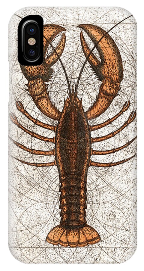 Lobster iPhone X Case featuring the painting Northern Lobster by Charles Harden