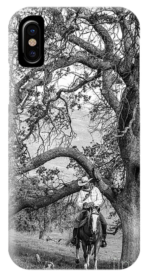 Cowboys iPhone X Case featuring the photograph Oak Arches by Diane Bohna