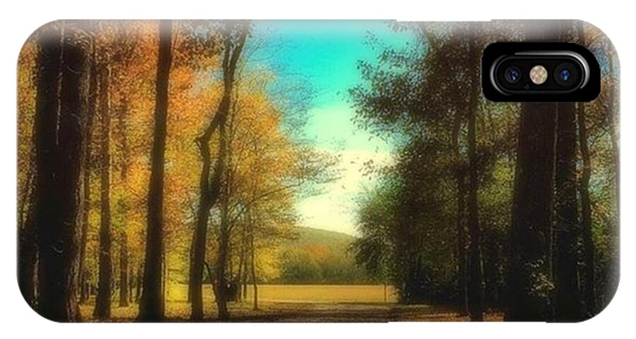 Iphoneography iPhone X Case featuring the photograph October Path by Steven Gordon