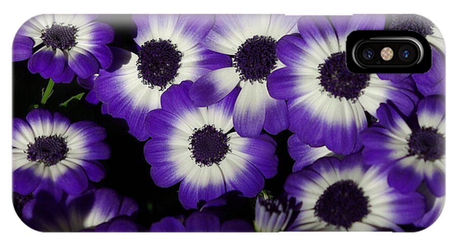 Daisy iPhone X Case featuring the photograph Oh Happy Day by Linda Mishler