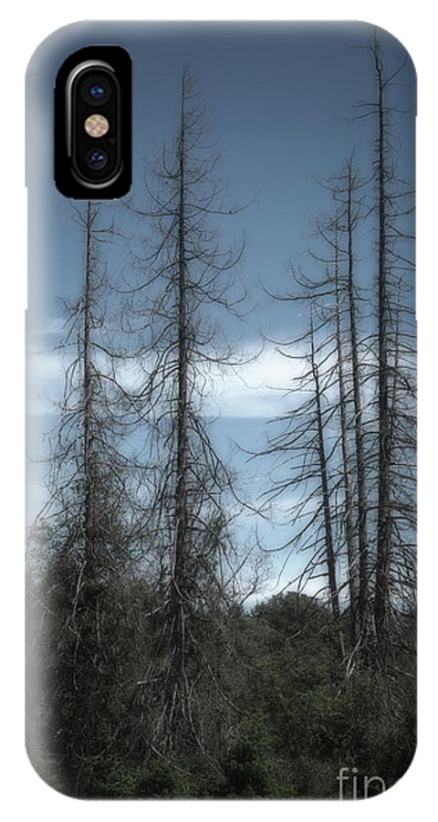 Trees iPhone X Case featuring the photograph Old Guard by David Hillier