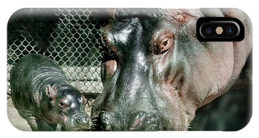  iPhone X Case featuring the photograph One Day Old Baby Hippo and Mom by Sherry Curry