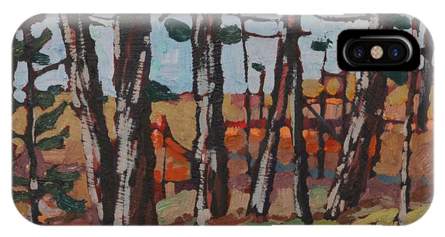 2046 iPhone X Case featuring the painting Opinicon November Forest by Phil Chadwick