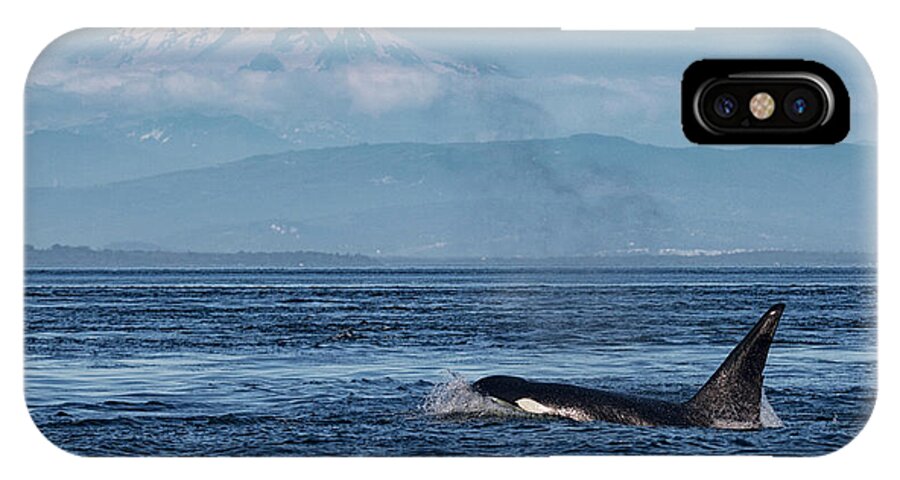 Orca iPhone X Case featuring the photograph Orca Male With Mt Baker by Randy Hall