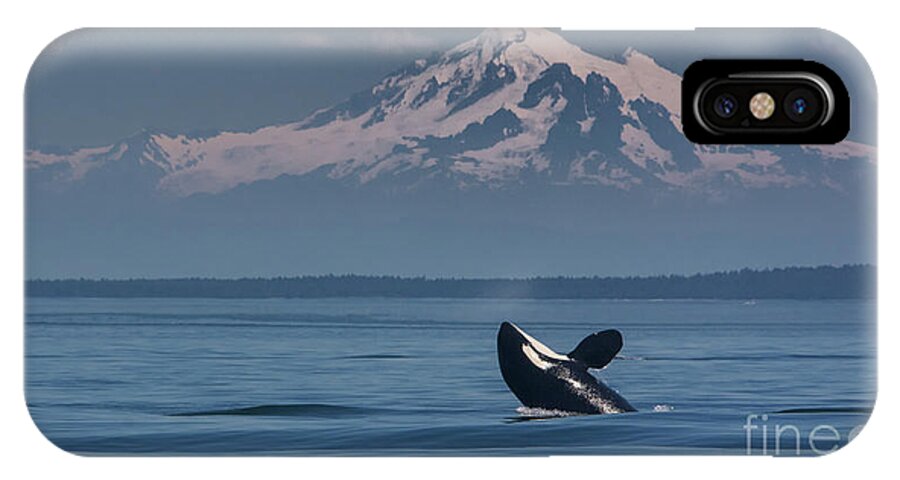 Orca iPhone X Case featuring the photograph Orca - Mt. Baker by John Greco