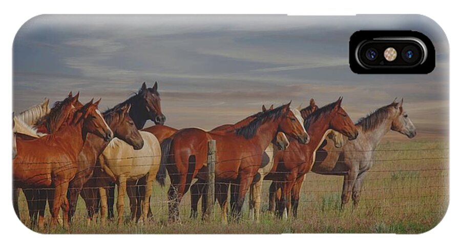Horses iPhone X Case featuring the photograph Over The Fenceline by Amanda Smith