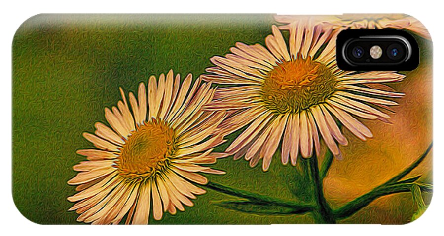 Art Prints iPhone X Case featuring the photograph Painted Daisies 2 by Dave Bosse