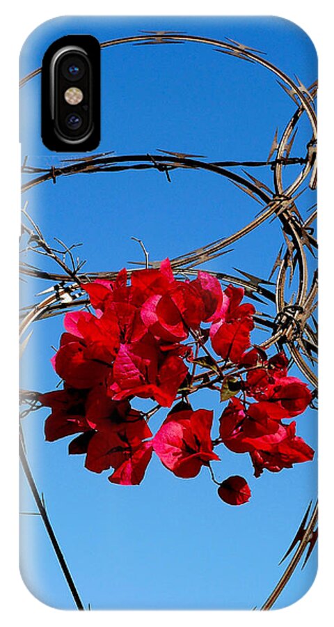 Red Flowers iPhone X Case featuring the photograph Pairing by Gia Marie Houck