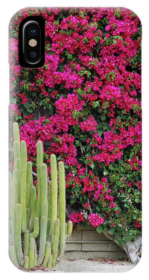 Cactus iPhone X Case featuring the photograph Palm Desert Blooms by Carol Eliassen