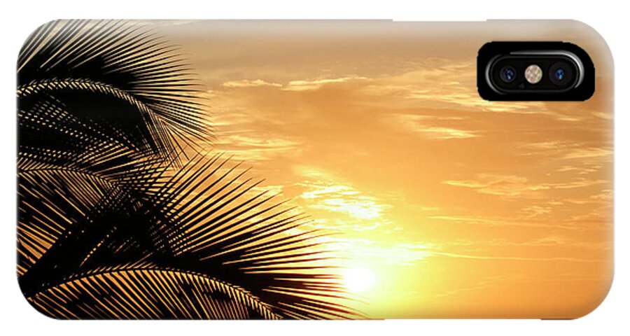 Hawaii iPhone X Case featuring the photograph Palm Sunset 2 by Vicki Hone Smith