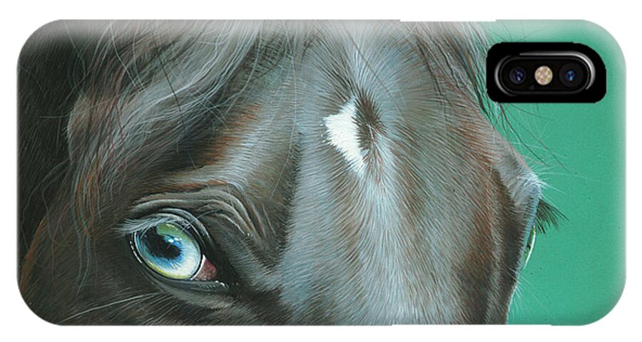Horse iPhone X Case featuring the painting Pappy by Mike Brown