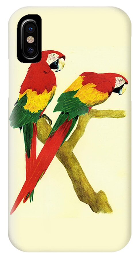 Animals iPhone X Case featuring the painting Parrots by Michael Vigliotti