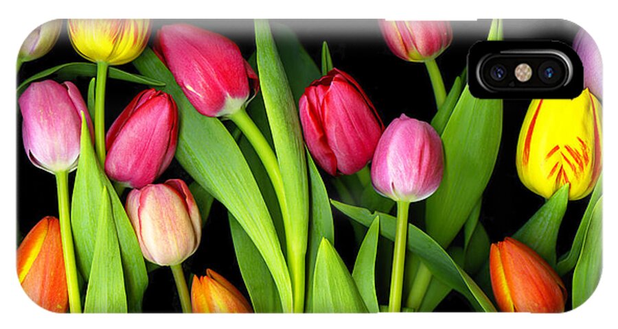 Csphoto iPhone X Case featuring the photograph Tulips by Christian Slanec