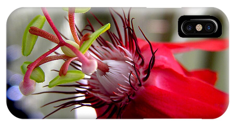 Flowers iPhone X Case featuring the photograph Passion Flower in Red by Adam Johnson