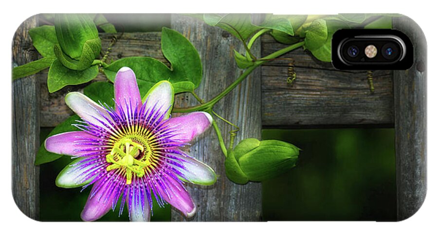 Passion Flower On The Fence iPhone X Case featuring the photograph Passion Flower on the Fence by Carolyn Derstine