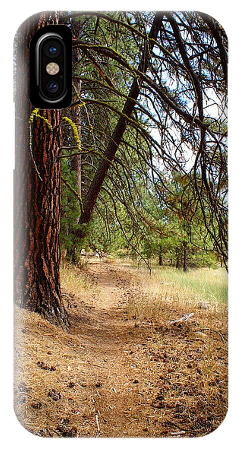 Nature iPhone X Case featuring the photograph Path to Enlightenment 2 by Ben Upham III