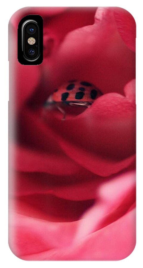 Red Rose iPhone X Case featuring the photograph Patient Lady by The Art Of Marilyn Ridoutt-Greene