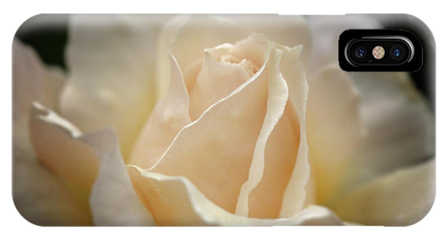 Rose iPhone X Case featuring the photograph Peach Rose by Mary Angelini