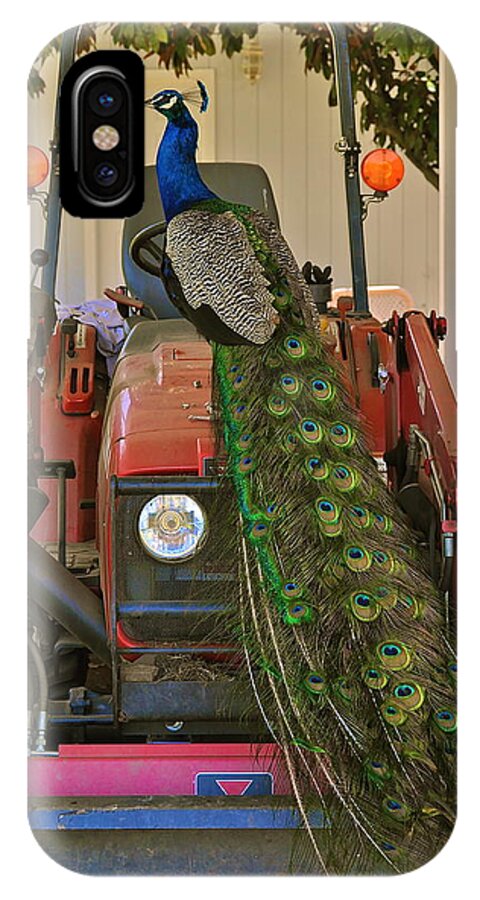 Tractor iPhone X Case featuring the photograph Peacock and His Ride by Bridgette Gomes