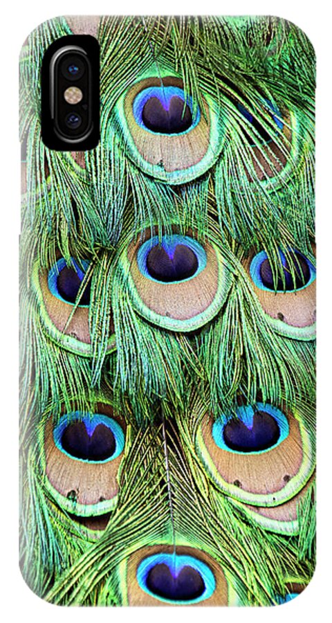 Peacock Feathers iPhone X Case featuring the photograph Peacock Feathers by Peggy Collins