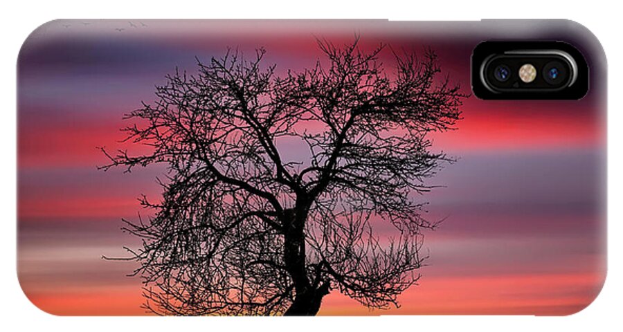 Sunlight iPhone X Case featuring the photograph Pear on lake by Bess Hamiti