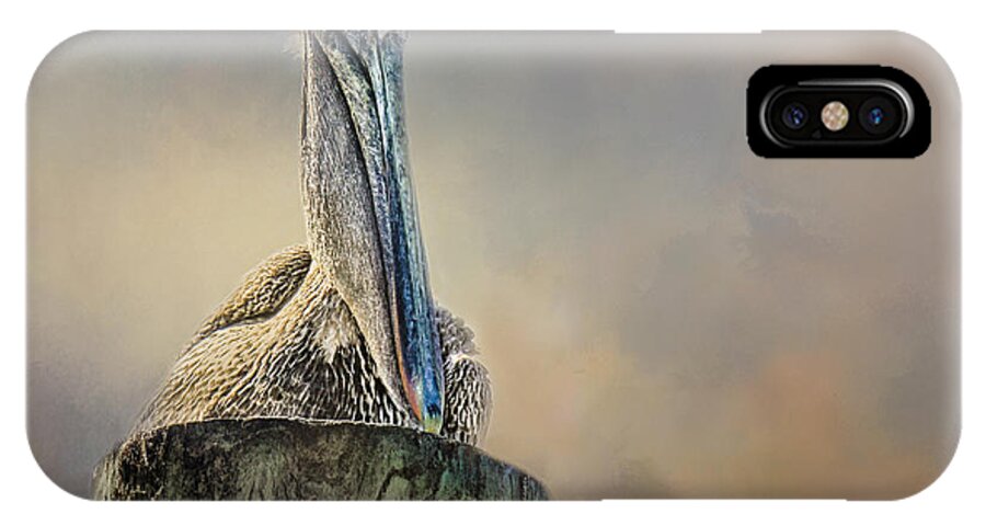 Pelicans iPhone X Case featuring the photograph Pelican In Paradise by TK Goforth
