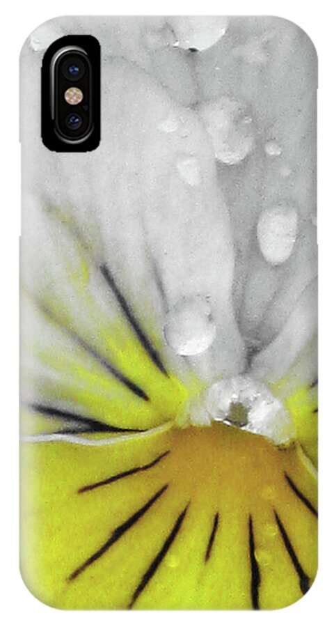 Pansy iPhone X Case featuring the photograph Perfectly Pansy 16 - BW - Yellow by Pamela Critchlow