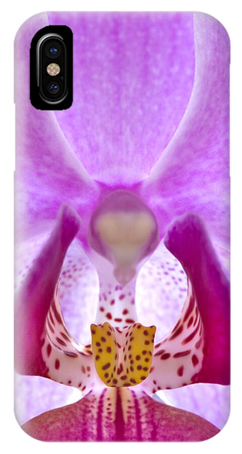 Phalaenopsis Orchid iPhone X Case featuring the photograph Phalaenopsis Orchid by George Robinson