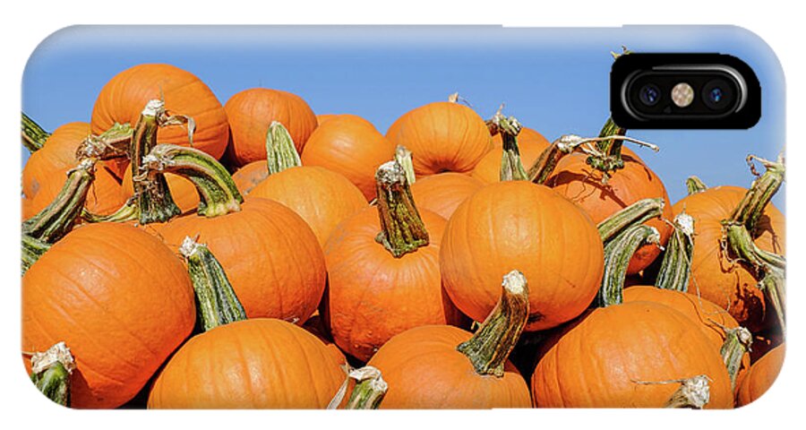 Pumpkin iPhone X Case featuring the photograph Pile of pumpkins by Iryna Liveoak