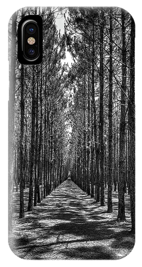 Pines iPhone X Case featuring the photograph Pine Plantation 5655_6_7 by Gulf Coast Aerials -