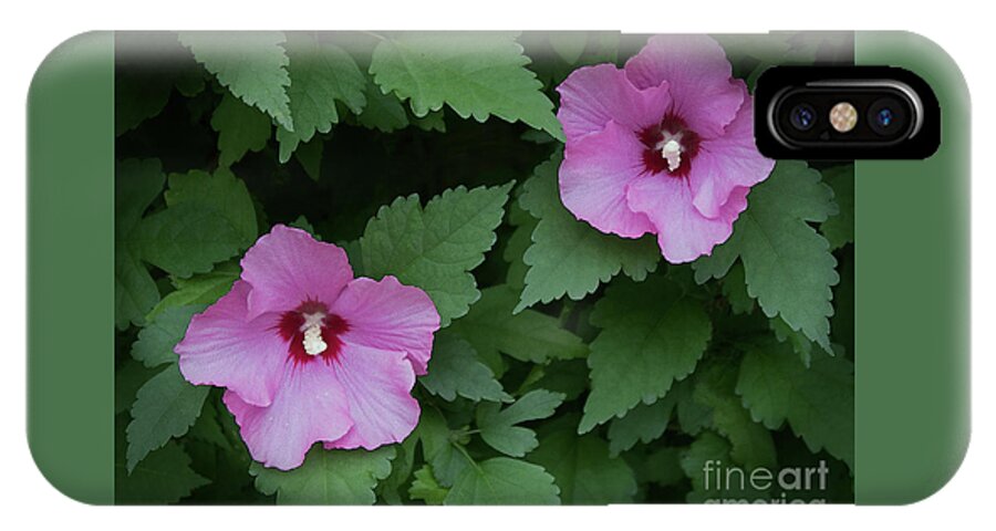 Flowers iPhone X Case featuring the photograph Pink Beauties by Ann Horn