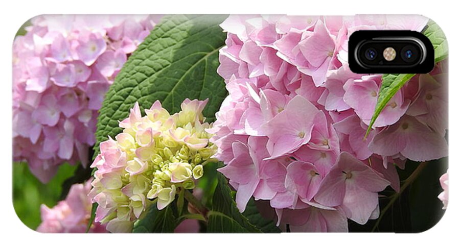 Summer iPhone X Case featuring the photograph Pink Hydrangea by Betty-Anne McDonald