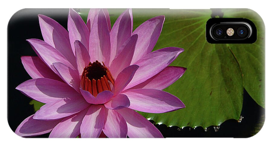 Lotus iPhone X Case featuring the photograph Pink Lotus by Evelyn Tambour