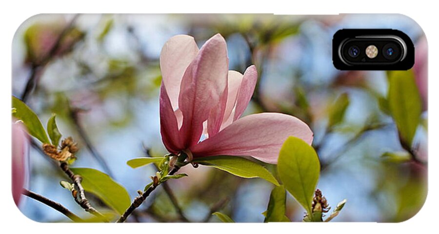 Pink Floral iPhone X Case featuring the photograph Pink Magnolia by Katherine White