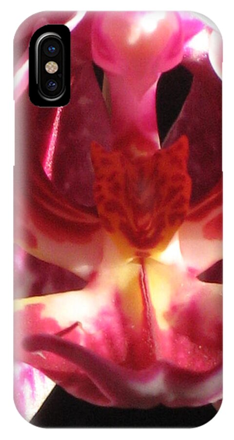 Orchid iPhone X Case featuring the photograph Pink Orchid Macro by Alfred Ng