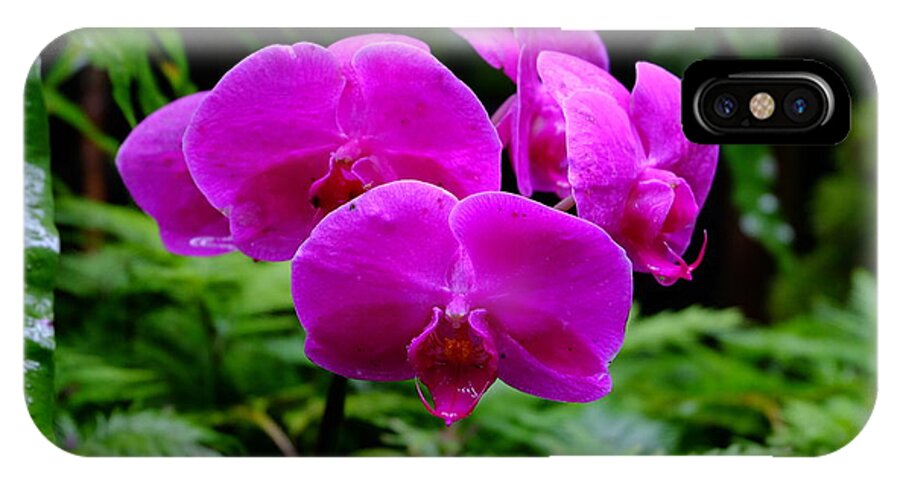 Orchid iPhone X Case featuring the photograph Pink Orchids by Mini Arora