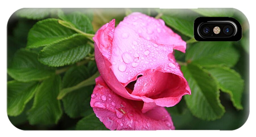 Fine Art iPhone X Case featuring the photograph Pink Rose Bud by Doug Mills