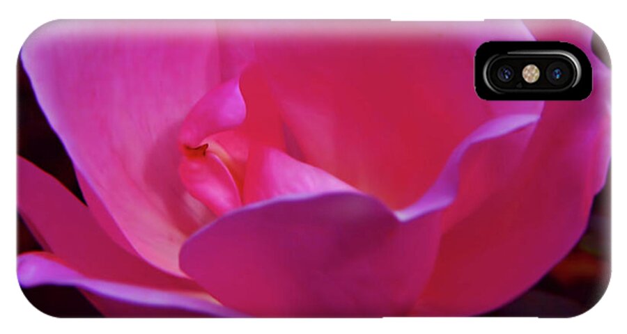 Rose iPhone X Case featuring the photograph Pink Rose by D Hackett