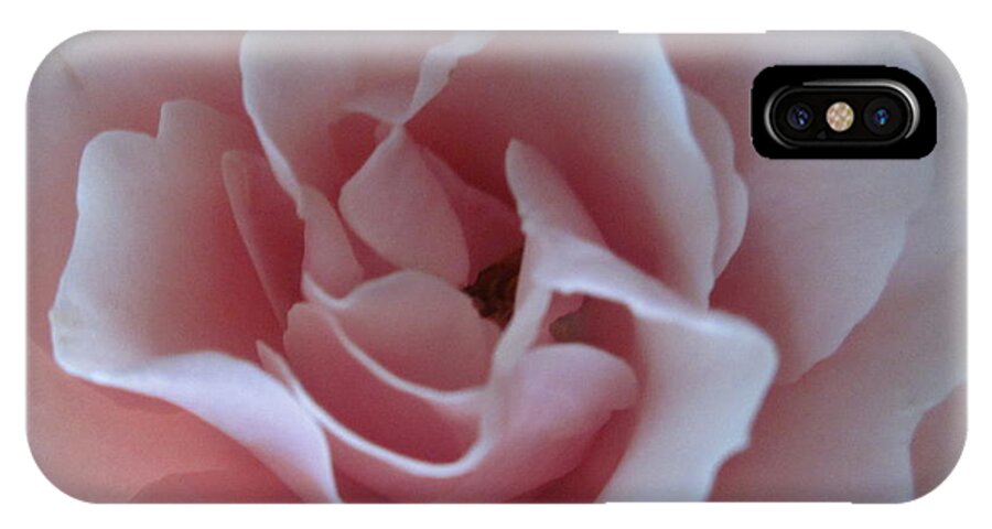 Pink Rose iPhone X Case featuring the photograph Pink Rose by Sandy Taylor
