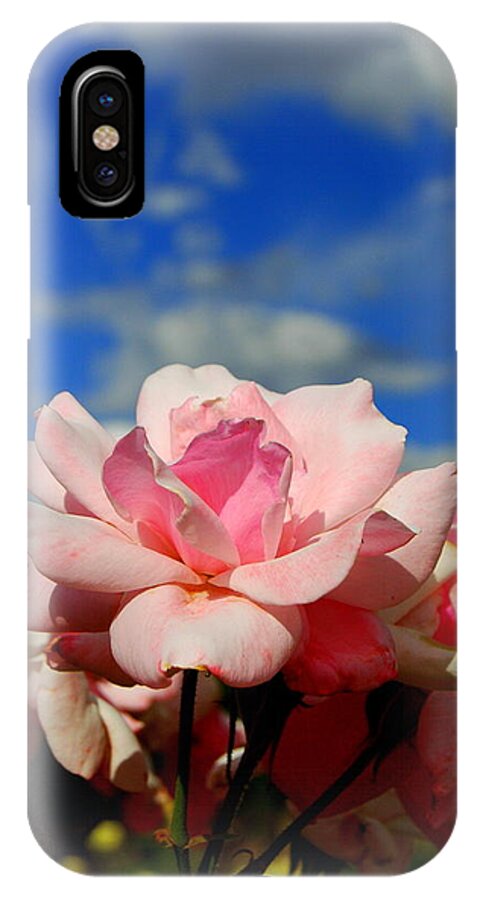 Rose iPhone X Case featuring the photograph Pink Roses against the Beautiful Arizona Sky by Teresa Stallings