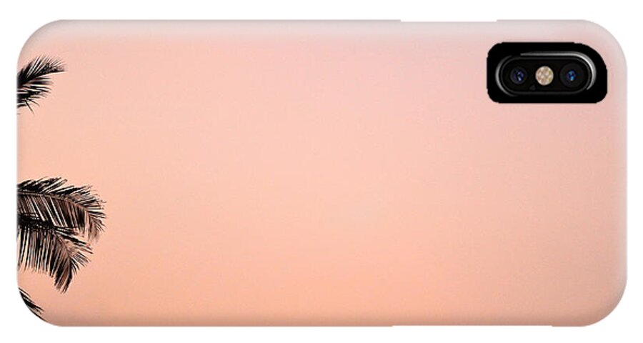 Palm iPhone X Case featuring the photograph Pink Skies by Corinne Rhode
