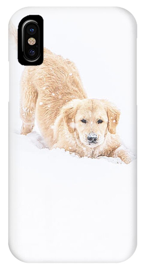 Playful iPhone X Case featuring the photograph Playful Puppy In So Much Snow by Jennifer Grossnickle