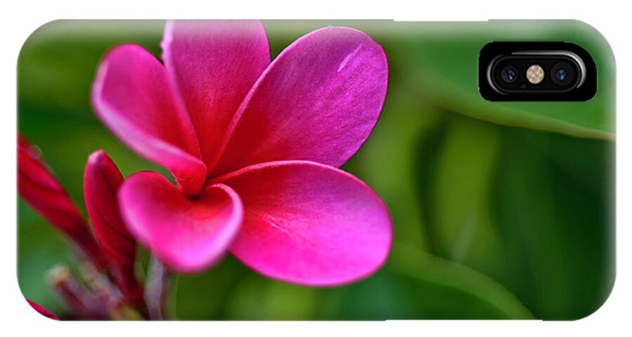 Hawaii iPhone X Case featuring the photograph Plumeria - Royal Hawaiian by Dan McManus