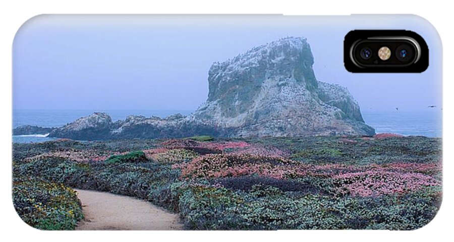 Pacific Coast iPhone X Case featuring the photograph Point Piedras Blancas by Marcia Breznay